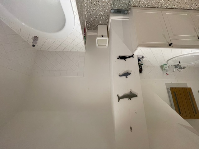 Modern wet room shower Dorset